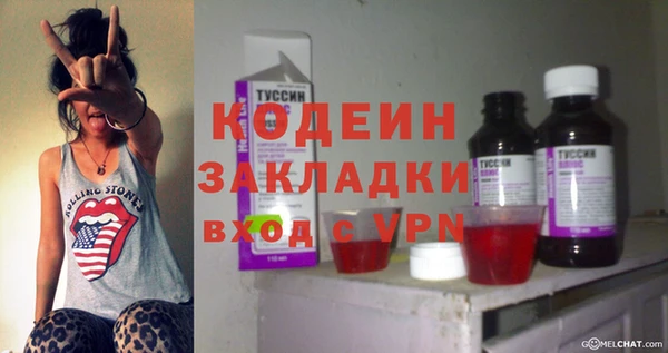 прущий лед Богданович