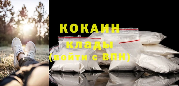 прущий лед Богданович