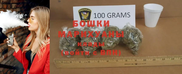 прущий лед Богданович
