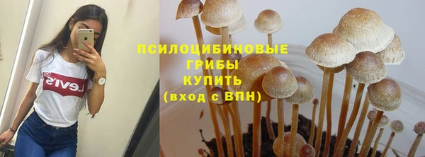МДПВ Богородск