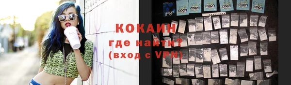 прущий лед Богданович