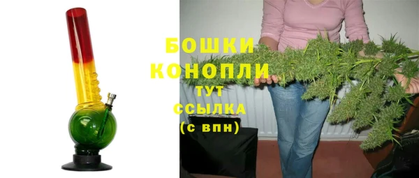 МДПВ Богородск