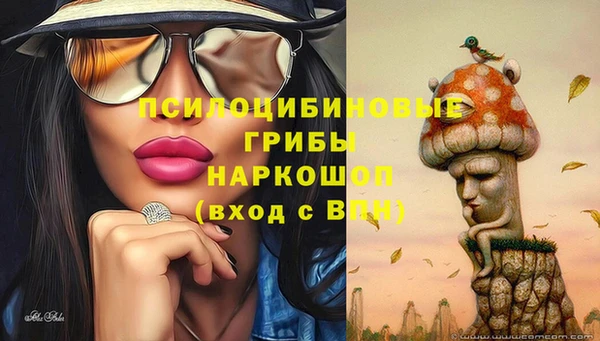 MDMA Premium VHQ Богородицк