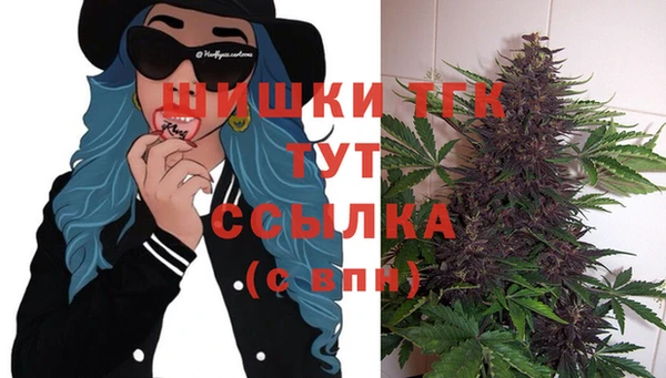 МДПВ Богородск