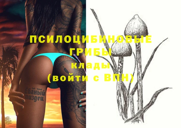 индика Тихвин