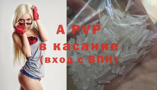 прущий лед Богданович