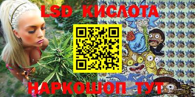 твердый Новозыбков