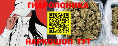 крисы Новодвинск
