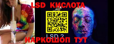крисы Новодвинск