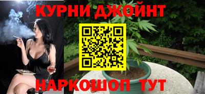 крисы Новодвинск