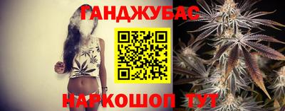 крисы Новодвинск