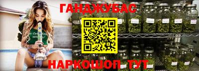 крисы Новодвинск