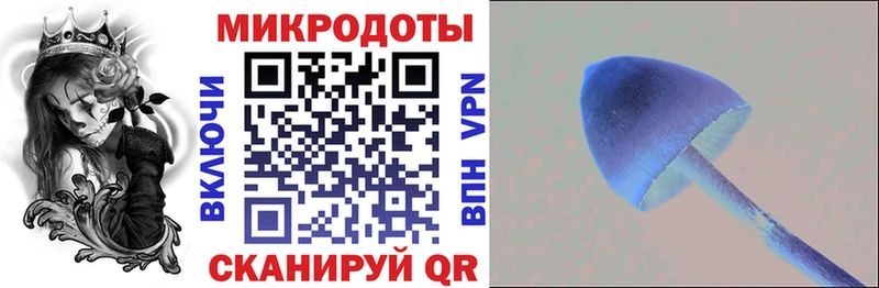MEGA ссылки  Буйнакск  это телеграм  Галлюциногенные грибы мицелий 